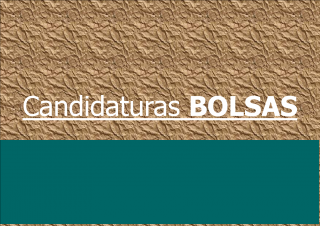 CONCURSO DE ATRIBUIÇÃO DE 8 BOLSAS DE DOUTORAMENTO - HERITAS