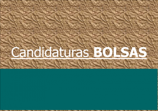Research Fellowships