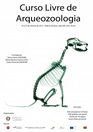 Archaeozoology Shourt Course