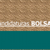 CONCURSO DE ATRIBUIÇÃO DE 8 BOLSAS DE DOUTORAMENTO - HERITAS